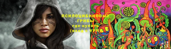 дмт Горно-Алтайск