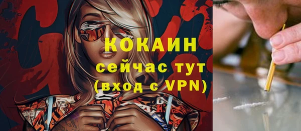 дмт Горно-Алтайск