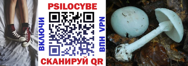 Псилоцибиновые грибы мухоморы Верея