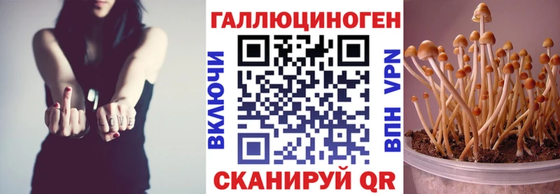 MEGA зеркало  купить наркоту  Верея  Галлюциногенные грибы прущие грибы 